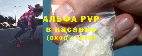 эйфоретик Бородино