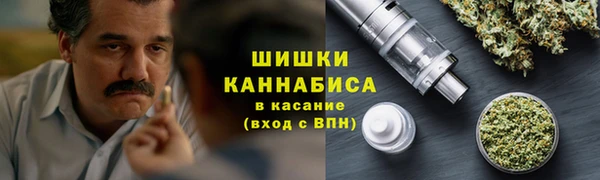 эйфоретик Бородино