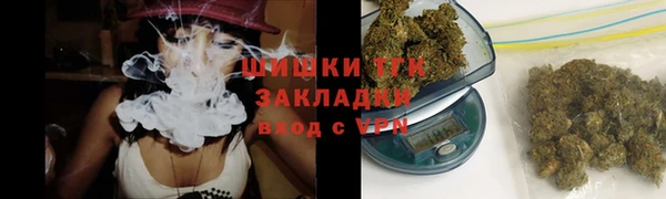 эйфоретик Бородино